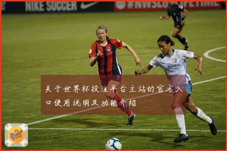 关于世界杯投注平台主站的官方入口使用说明及功能介绍