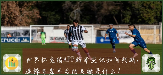 世界杯竞猜APP赔率变化如何判断，选择可靠平台的关键是什么？