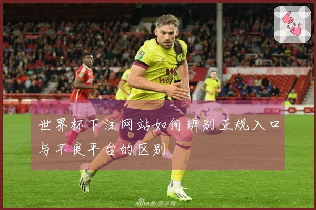 世界杯下注网站如何辨别正规入口与不良平台的区别