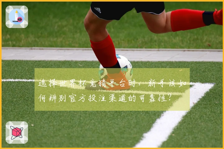 选择世界杯竞猜平台时，新手该如何辨别官方投注渠道的可靠性？