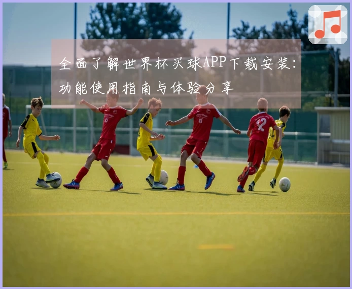 全面了解世界杯买球APP下载安装:功能使用指南与体验分享