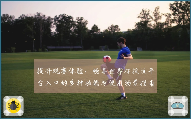 提升观赛体验,畅享世界杯投注平台入口的多种功能与使用场景指南