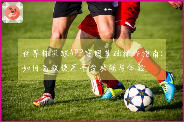 世界杯买球APP官网基础操作指南：如何高效使用平台功能与体验