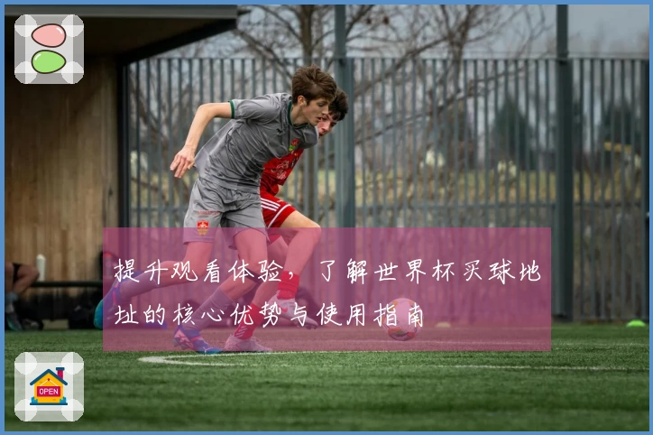 提升观看体验,了解世界杯买球地址的核心优势与使用指南