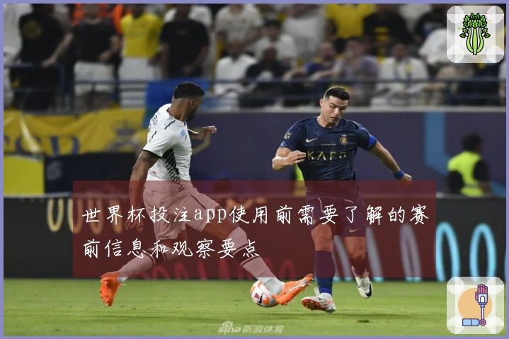 世界杯投注app使用前需要了解的赛前信息和观察要点