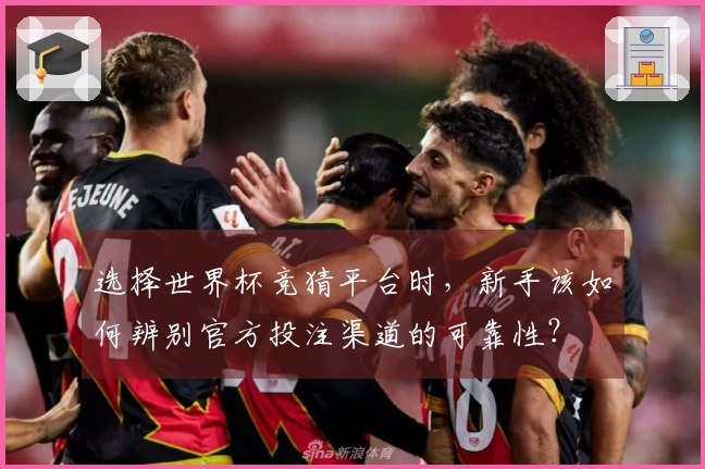 选择世界杯竞猜平台时，新手该如何辨别官方投注渠道的可靠性？