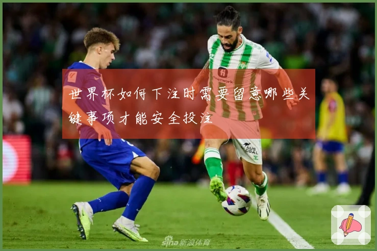世界杯如何下注时需要留意哪些关键事项才能安全投注
