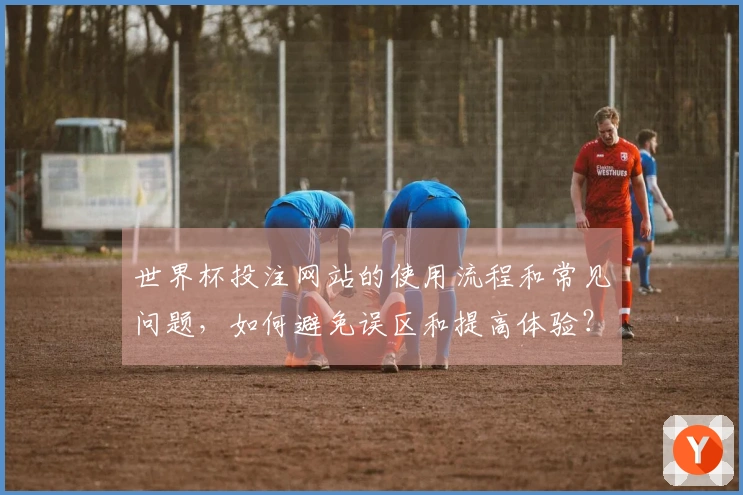 世界杯投注网站的使用流程和常见问题，如何避免误区和提高体验？