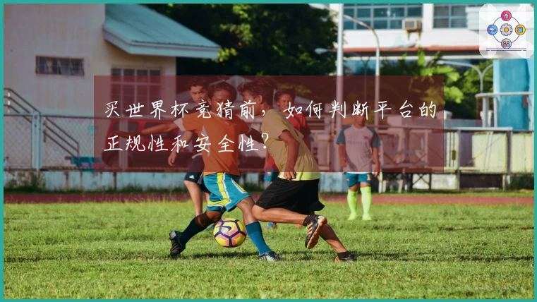 买世界杯竞猜前，如何判断平台的正规性和安全性？