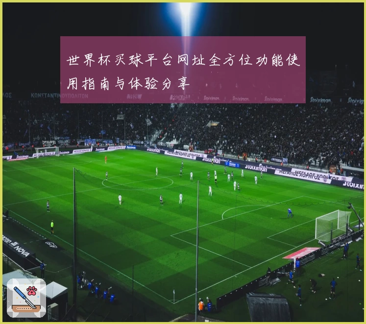 世界杯买球平台网址全方位功能使用指南与体验分享