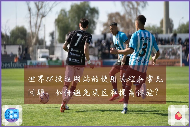 世界杯投注网站的使用流程和常见问题，如何避免误区和提高体验？