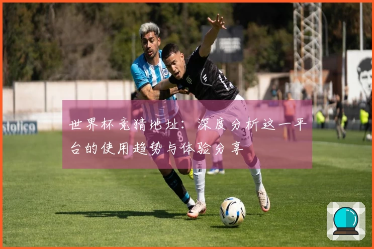 世界杯竞猜地址：深度分析这一平台的使用趋势与体验分享