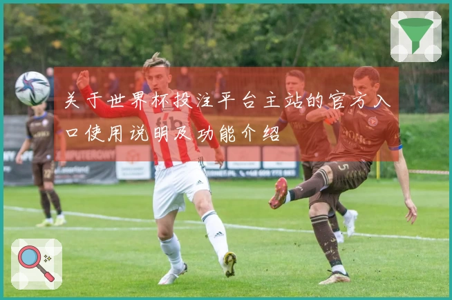 关于世界杯投注平台主站的官方入口使用说明及功能介绍