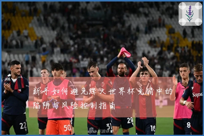新手如何避免烽火世界杯竞猜中的陷阱与风险控制指南