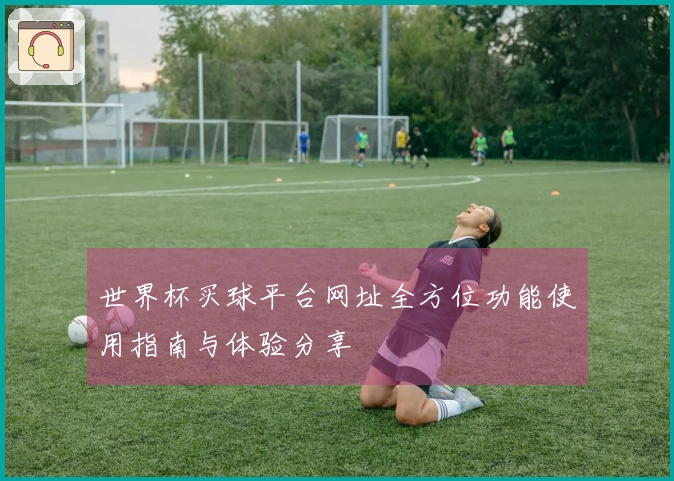 世界杯买球平台网址全方位功能使用指南与体验分享