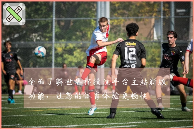 全面了解世界杯投注平台主站新版功能，让您的体育体验更畅快